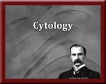 Cytology