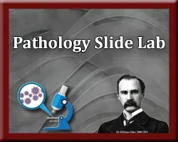 Pathology slide Lab