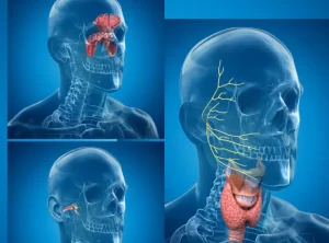 Otolaryngology Otolaryngology